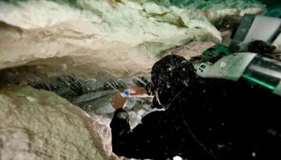澳大利亚纳拉伯平原地下洞穴中发现奇特黏菌――奇古菌