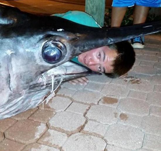 美国17岁少年在佛罗里达海岸捕到一条重达314公斤的剑鱼