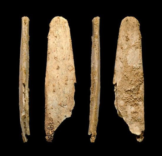 尼安德特人遗址发现欧洲最古老的专用骨器