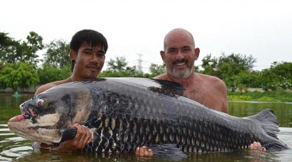 英国游客捕获140磅鲤鱼创世界纪录
