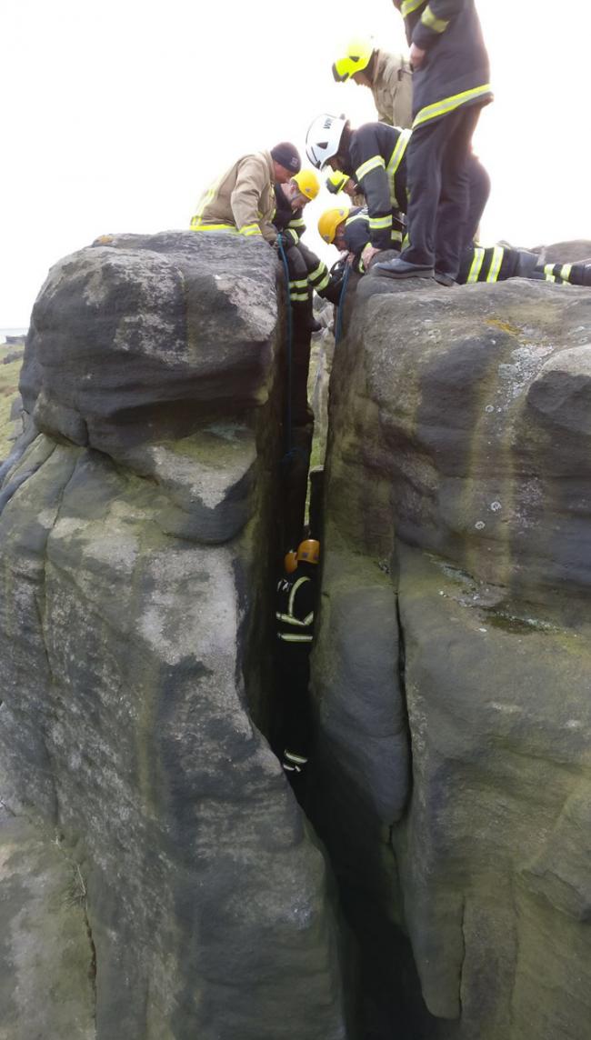 绵羊失足跌落英国托德摩登山区岩壁 身上厚羊毛救命