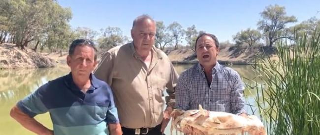 新南威尔士达令河出现环境危机 澳洲前绿党议员捧死鱼受访当场呕吐