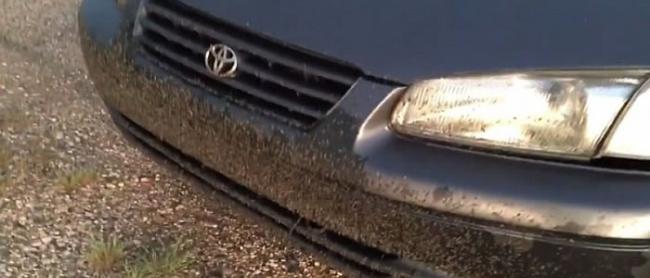 数之不尽的湖蝇黏在车头上。
