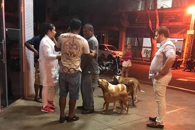 巴西流浪汉中风入院 6只忠犬追救护车彻夜门外留守