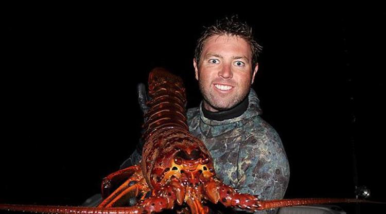 美国生物学家夜间潜水捞到一只巨大的太平洋龙虾