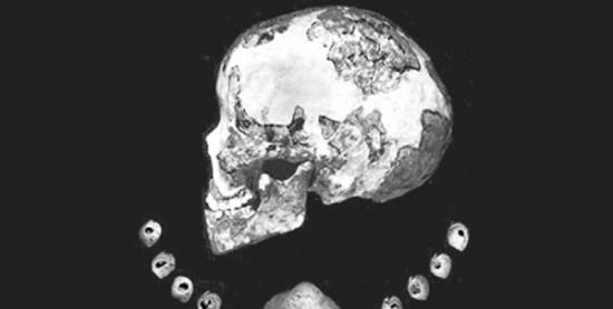 克萨拉基尔的女孩头骨化石、贝壳和带孔的海洋贝珠
