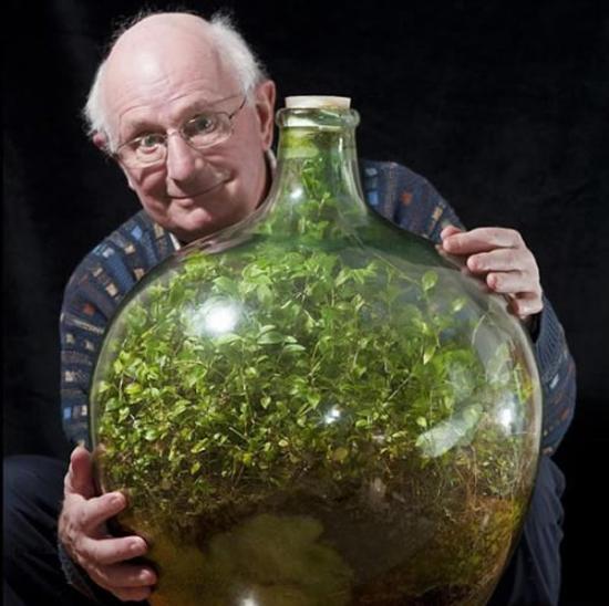 今年80岁的大卫-拉蒂默抱着他的“玻璃瓶花园”，这个微型生态系统是53年前种植的，仅在1972年浇过一次水，之后就完全密封起来