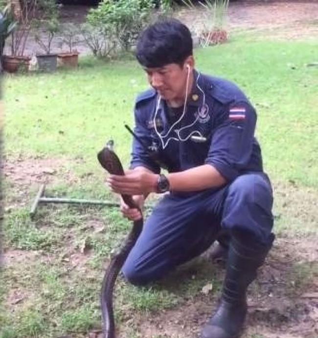 消防员表示自己接受过捉蛇训练。