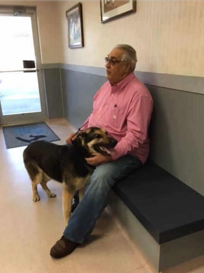 美国北卡罗莱纳州老翁开门惊见失踪4年爱犬