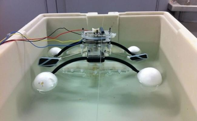 机器人能够借“进食”水中微生物产生能量。