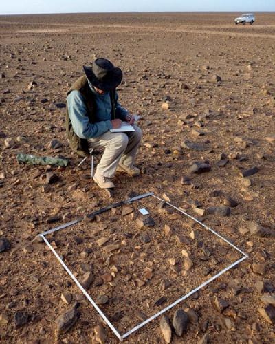 剑桥大学莱弗休姆进化研究中心的罗伯特・弗利博士认为现在利比亚的巨大沙漠其实是一块研究早期人类如何使用工具的地方，表明古老的人类是多么向往使用技术。