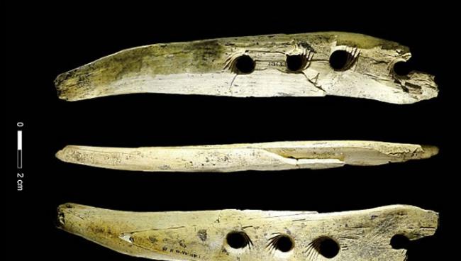 4万年前进入欧洲的人类有能力利用象牙制成的工具来生产绳索