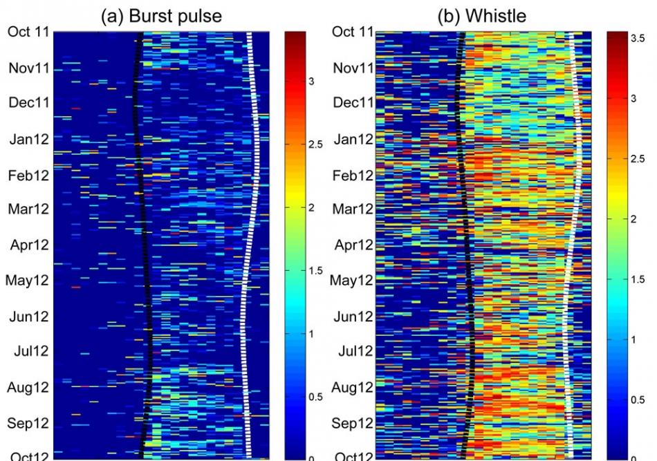 从MACHO所侦测到的齿鲸密集脉冲声​​波(a)和哨叫声(b)在一年之中各个小时的时间长度，颜色越接近黄、红色，代表侦测到的声音数量越多