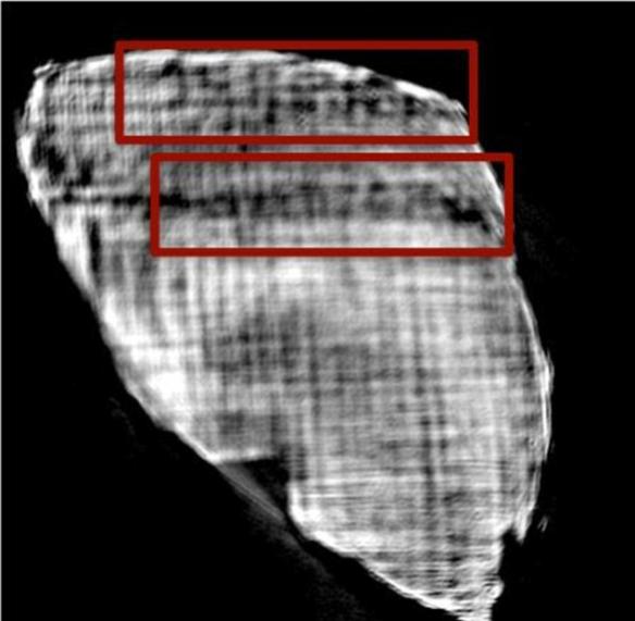 透过X光技术可望解读意大利两千年前被维苏威火山烧黑的古卷内容