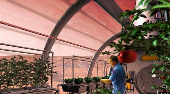 如果我们在太空中种植植物获得了成功，就可以在火星和月球基地上大规模拓展