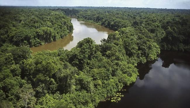 加拿大男子神秘失踪5年 万公里外巴西丛林被寻获