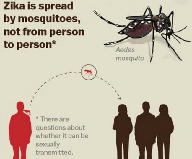 寨卡(Zika)疫情持续肆虐全球