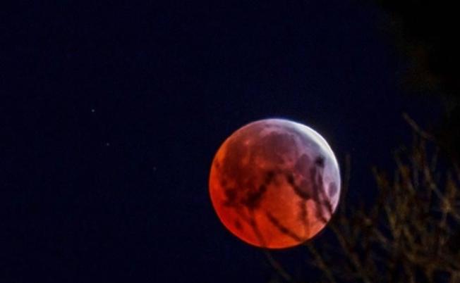 月球变成“血月”，非常壮观。
