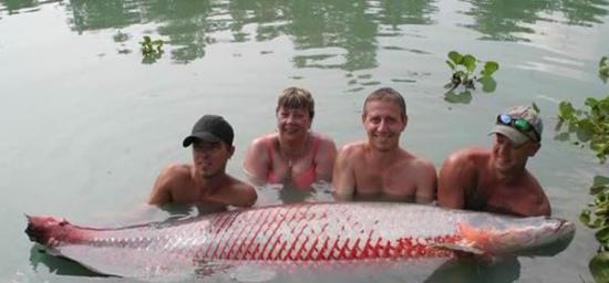 英国女子在泰国钓到重达110公斤的巨滑舌鱼