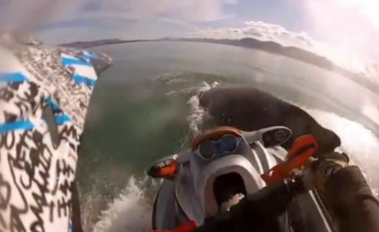 冰岛玩水上摩托意外撞到浮出水面的座头鲸