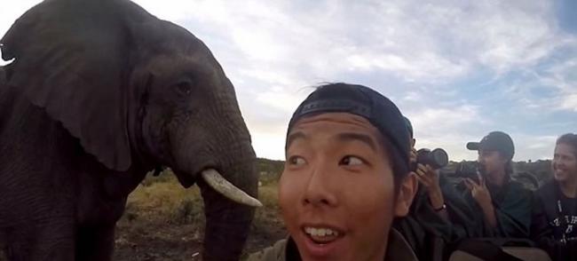 美国大学生到南非观赏野生动物时有幸与大象玩自拍