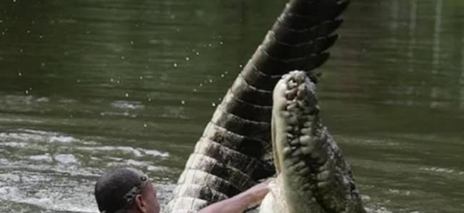 埃塞俄比亚牧师在湖边替信众洗礼时遭从湖中窜出的鳄鱼活活咬死