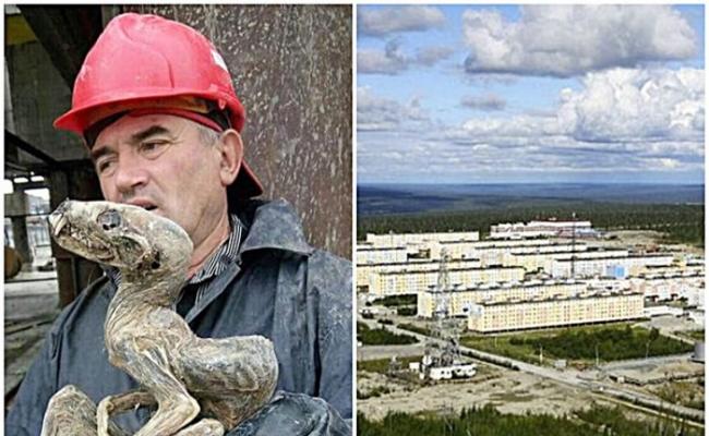 俄罗斯西伯利亚钻石矿工挖出“怪物木乃伊”不明生物遗骸
