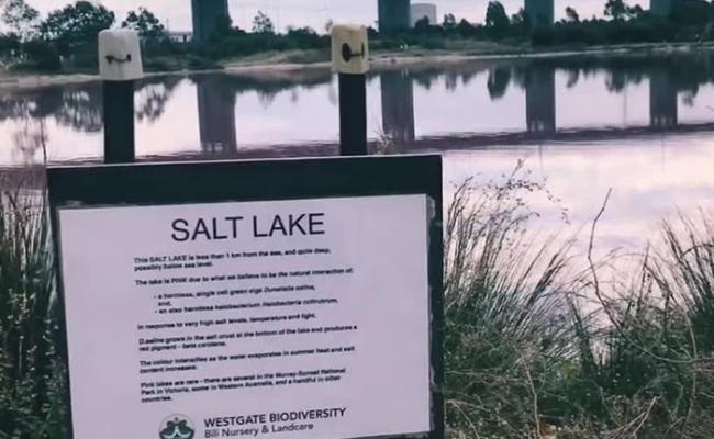 公园管理局已在湖边竖立告示，呼吁游客不要接触湖水。