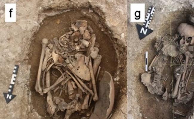 考古学家发现部分死者的头骨曾遭人重击，怀疑他们是宗教献祭的活人祭品。