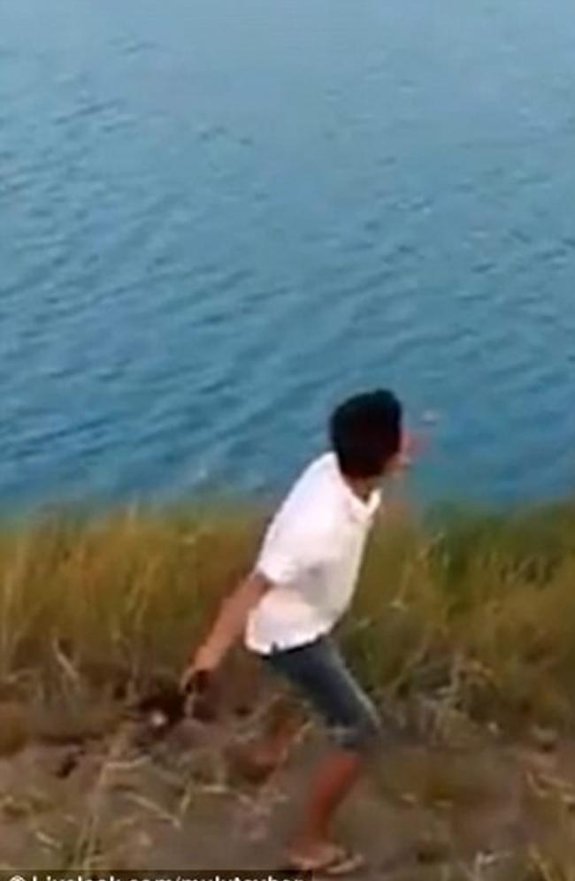 澳洲少年把小狗扔进鳄鱼湖 瞬间被吞噬
