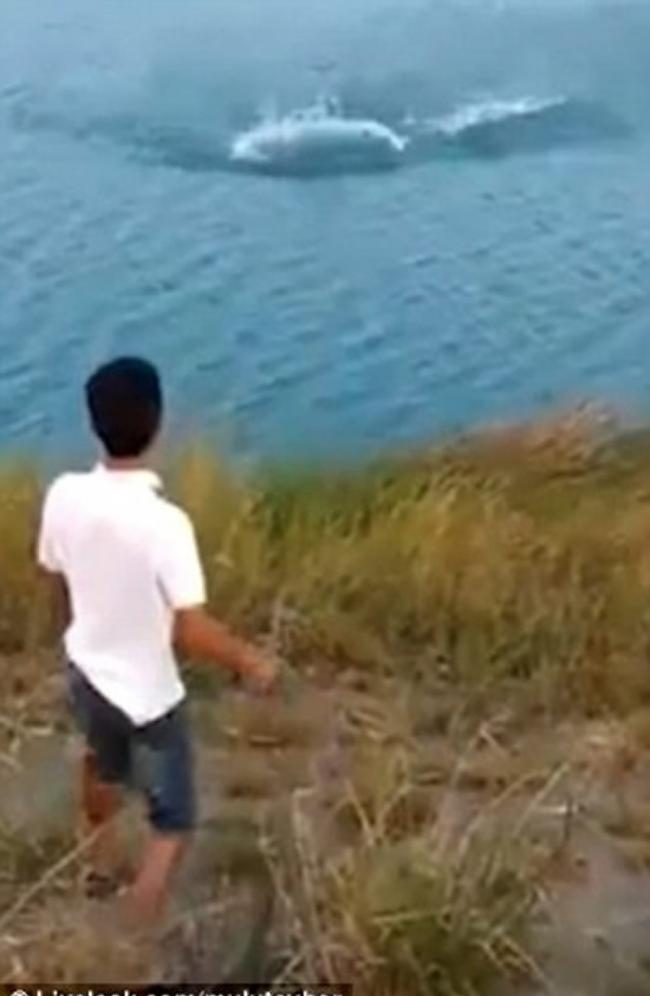 澳洲少年把小狗扔进鳄鱼湖 瞬间被吞噬