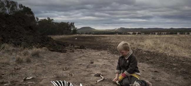 气候变化正加剧澳大利亚的干旱程度。图片来源：Brook Mitchell / Getty