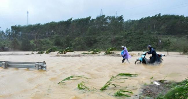 台风达维在越南造成严重破坏。