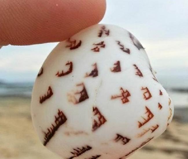 游客在日本海滩发现一块有“外星标志”的石头