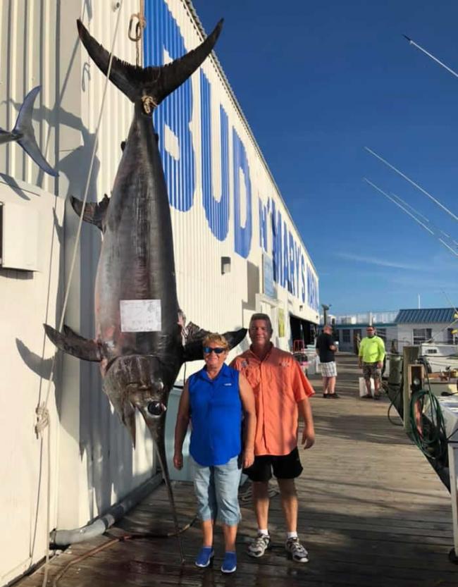 美国佛罗里达州渔船船长分享捕获340公斤重剑鱼的视频