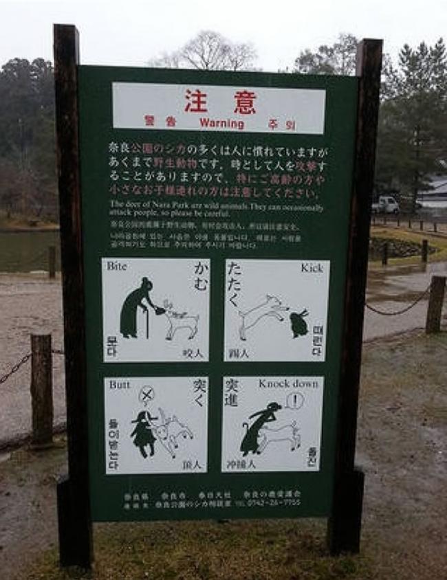 图为公园内设立绿色标识板。