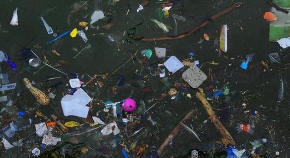科学家最新研究显示，全球海洋漂浮的塑料垃圾重量接近269000吨，将严重污染海洋环境，导致大量海洋生物死亡。