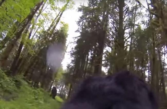 美国安装了运动相机的宠物狗在俄勒冈州丛林中拍摄到“大脚野人”