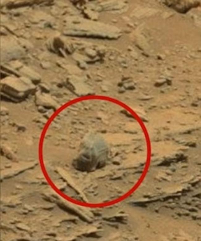 网民将NASA照片放大，发现“骷髅”（红圈）。