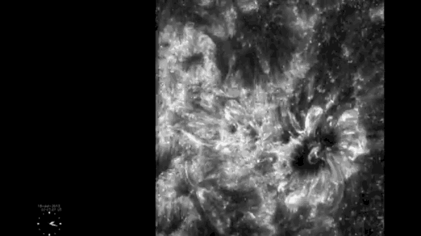 IRIS打开望远镜门21小时后记录的太阳边界层区域的画面。这一视频被减慢了40%，这一区域看起来比之前预想的更加暴力和爆炸性。