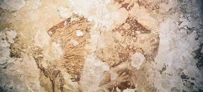 一个用颜料吹拂手上的图案，距今至少39900年，而另一幅猪形的图案则至少有35700年之久。