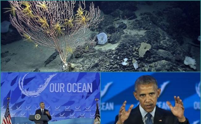 奥巴马宣布，在大西洋建立国家海洋保护区。