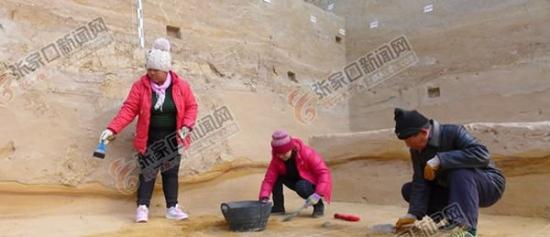 考古人员采集到的动物化石、石制品等出土器物。