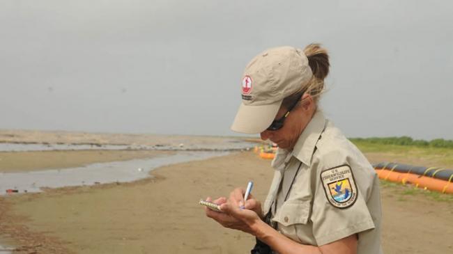 美国渔业与野生动物服务署员工巡视路易斯安那州海滨的野生动物