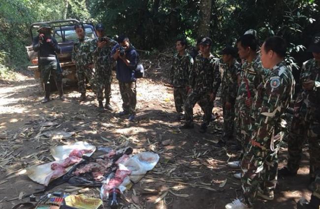 泰国丛林煮“黑豹汤” 盗猎者当场被逮捕