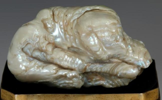 产自中国的最大天然淡水珍珠“睡狮”在荷兰公开拍卖