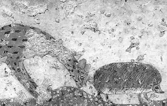 位于古埃及法老泰普二世墓穴中的一张描绘猎豹闻刺猬的壁画