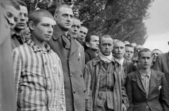达豪集中营的法国囚犯。二战期间，纳粹曾在集中营实施巨型安哥拉兔繁育计划，名为“麦肯奇行动”。达豪集中营便是第一座实施这项繁育计划的集中营。这座纳粹集中营位于慕尼