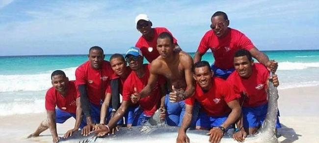 多米尼加共和国7名男子为作乐将一条鲨鱼扯上岸合照导致其死亡