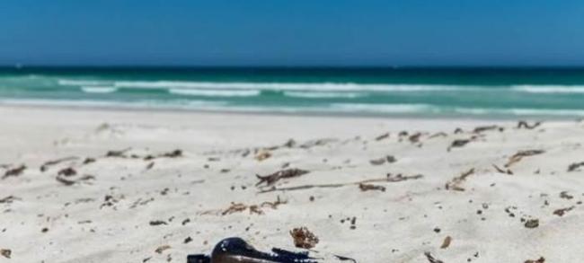 澳大利亚海滩发现132年前扔进大海的古老漂流瓶 上面印有手写的德国文字